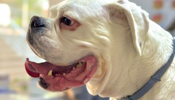 Çocuklardan Kareler 