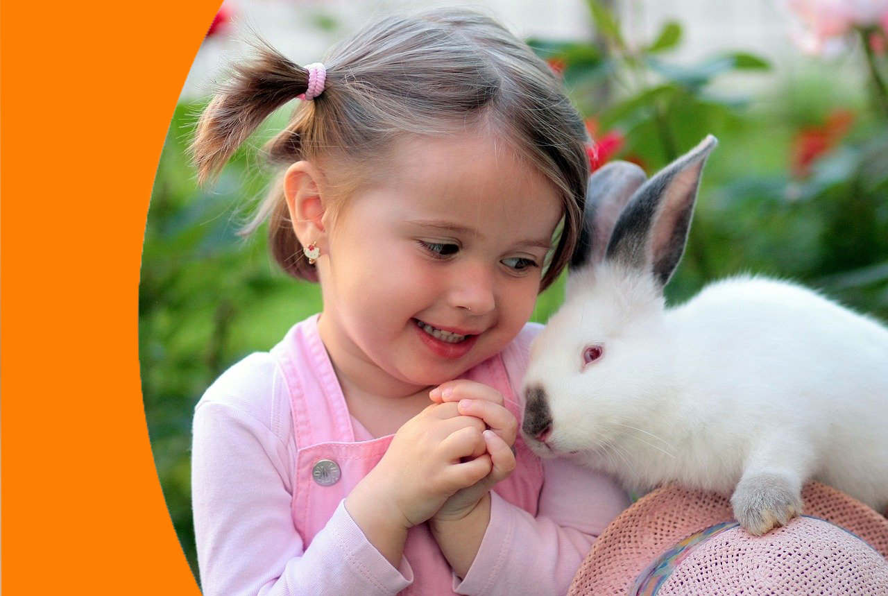 Citypet Bakırköy 7/24 Veteriner